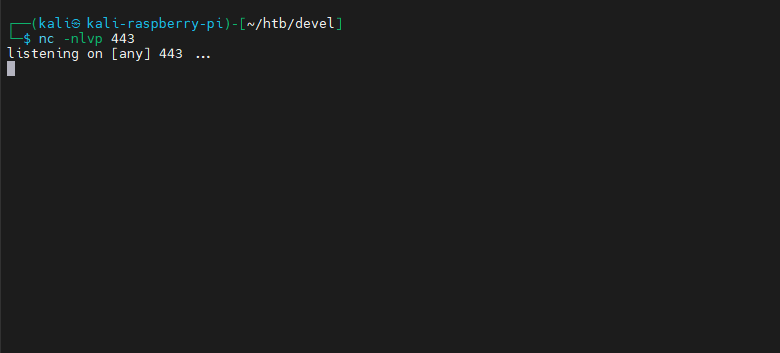 Listener Netcat para reverse shell